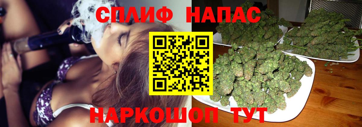 Каннабис SATIVA & INDICA Топки
